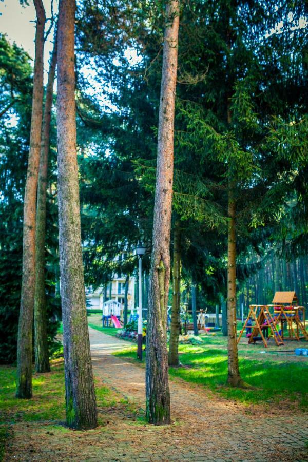 Dmuchawiec Łukęcin Bagian luar foto